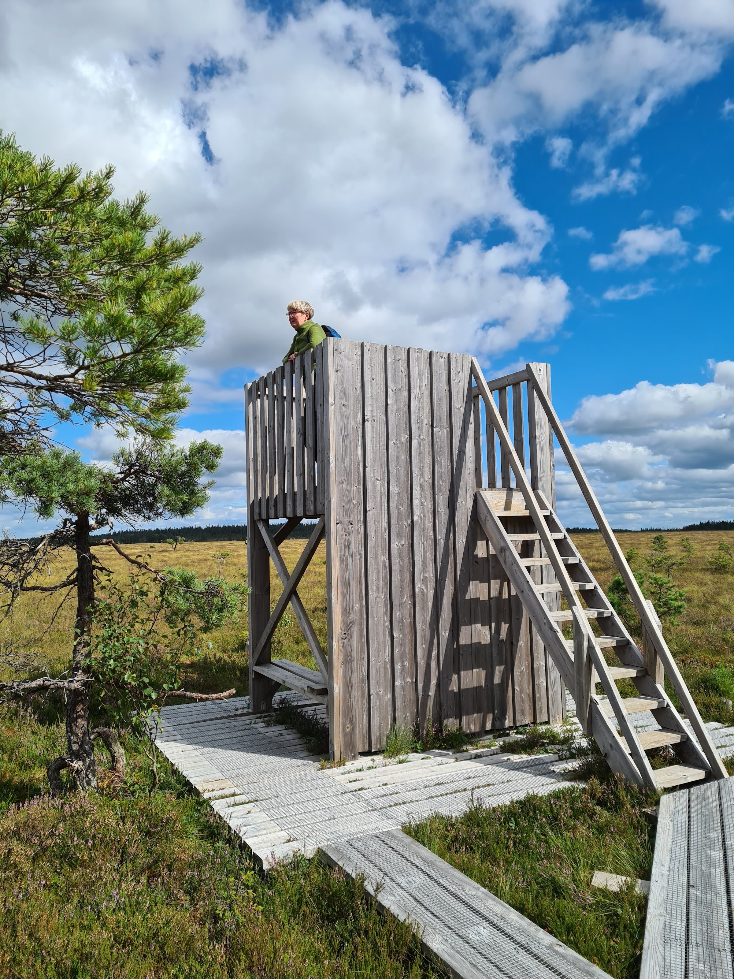 Komosse Naturreservat